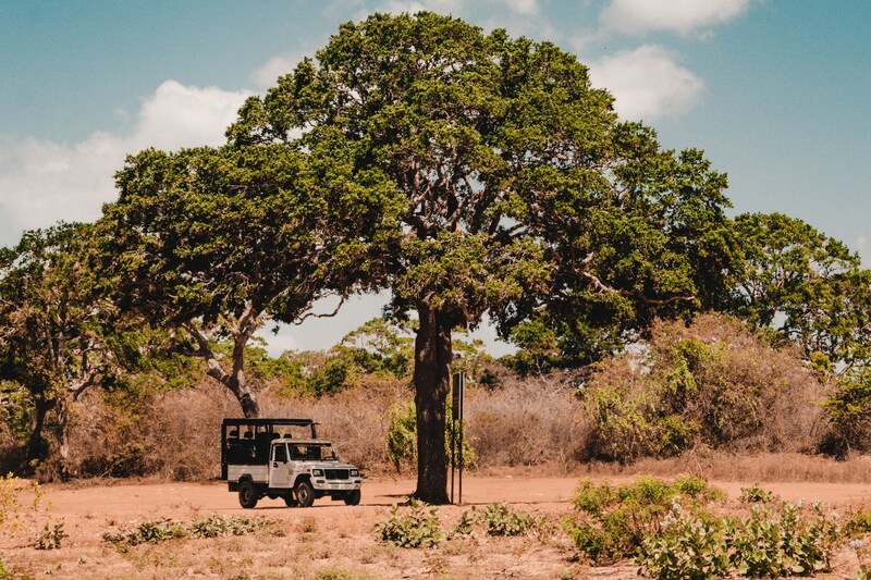 yala national park